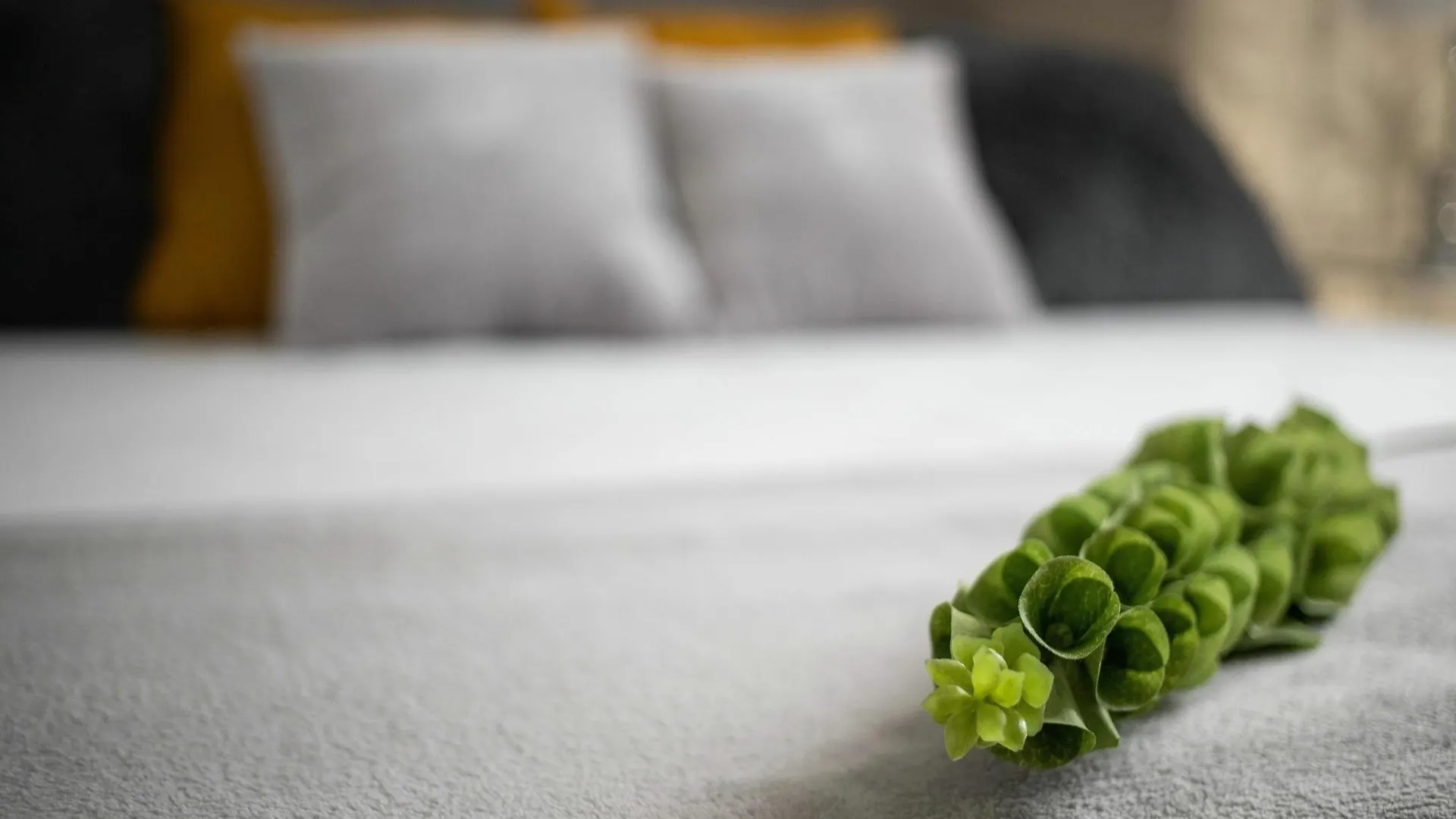 Feelathome Martires Apartments Malaga Spain
